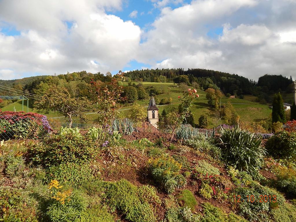 Haus Wiesental Kleines Wiesental Eksteriør bilde
