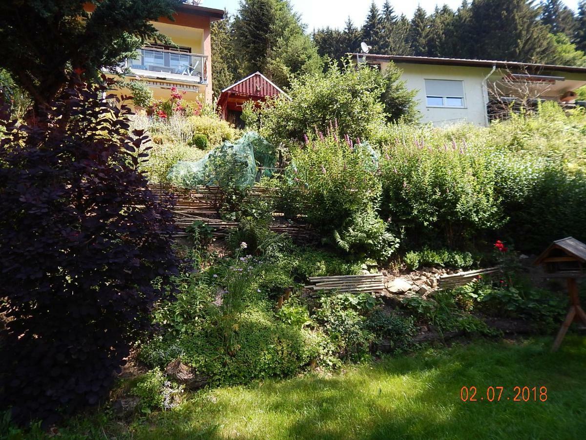 Haus Wiesental Kleines Wiesental Eksteriør bilde